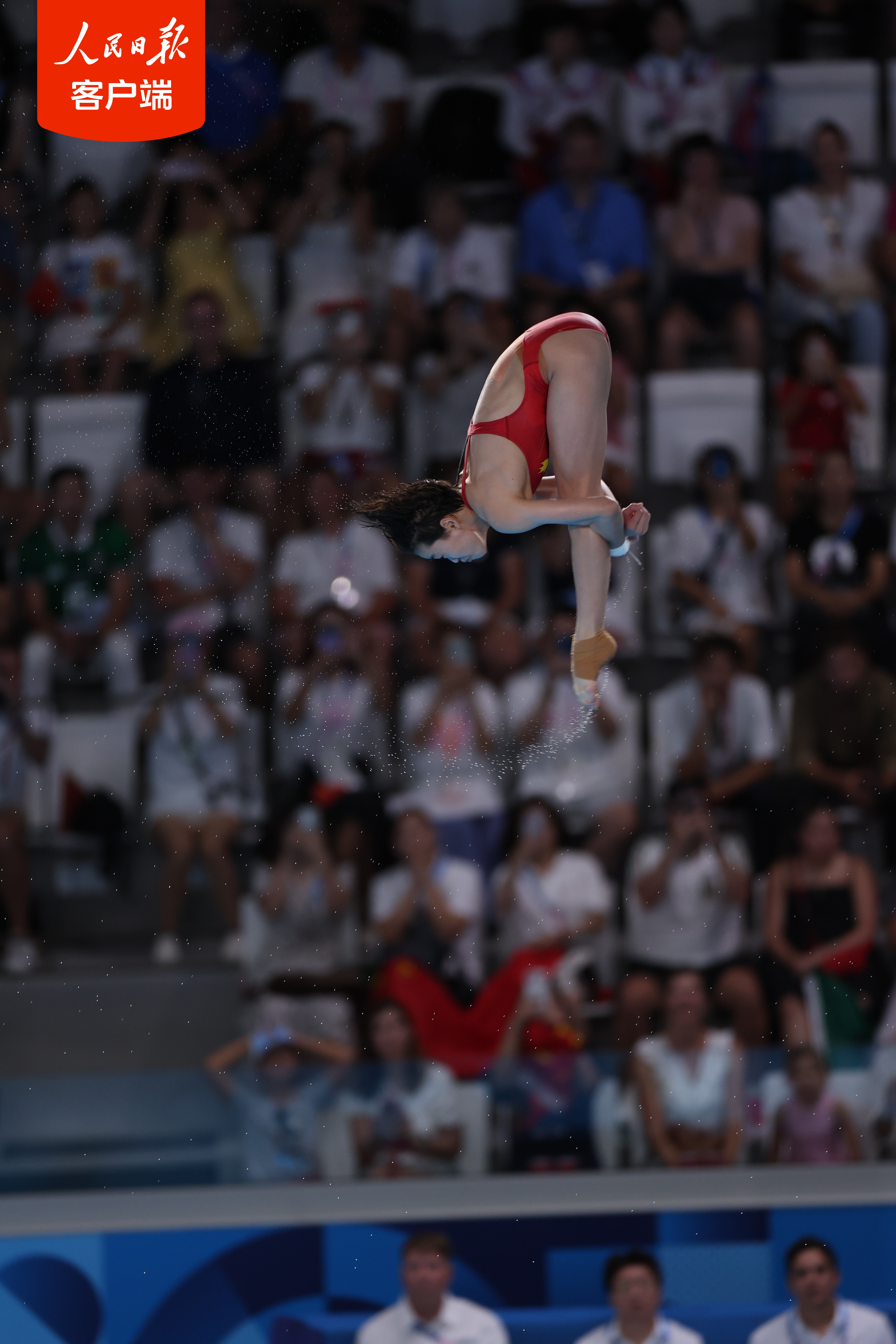 意大利跳水选手一举夺冠
