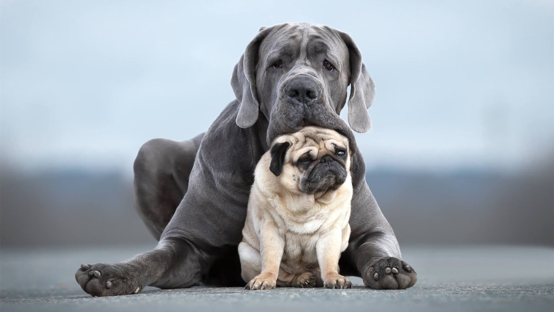 钢铁防线与闪电战，雷恩如何以纪律与勇气速胜葡萄牙