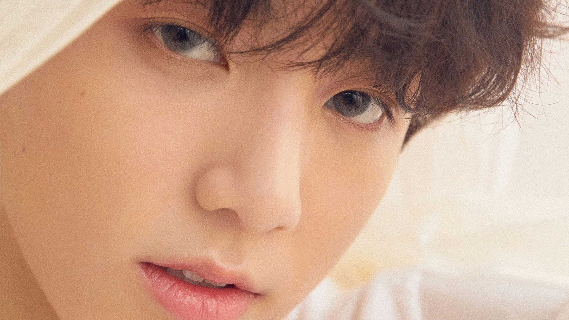 锁链与手术刀，当钢铁防线扼住璀璨星辰