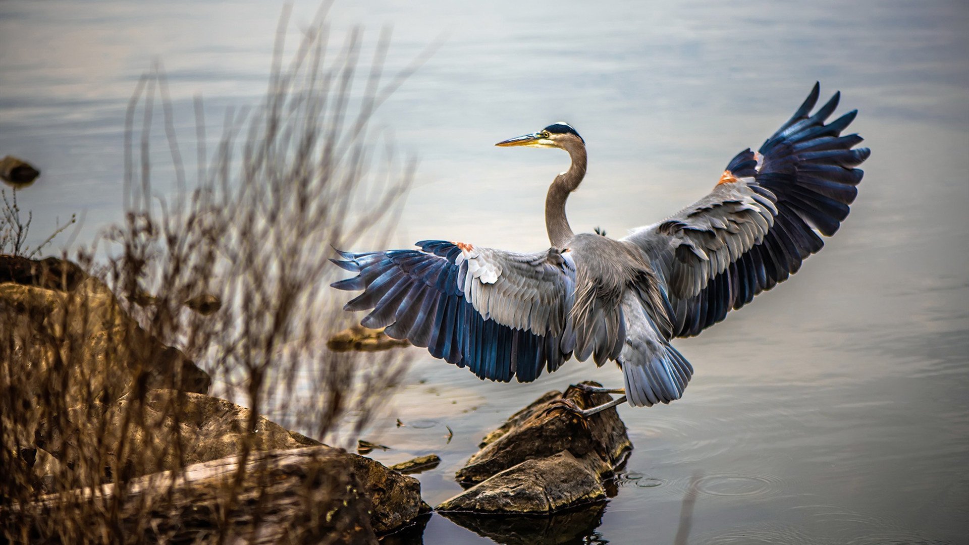 雷火电竞亚洲先驱-火星撞地球！范弗利特三分如雨，广东队压哨绝杀勇士