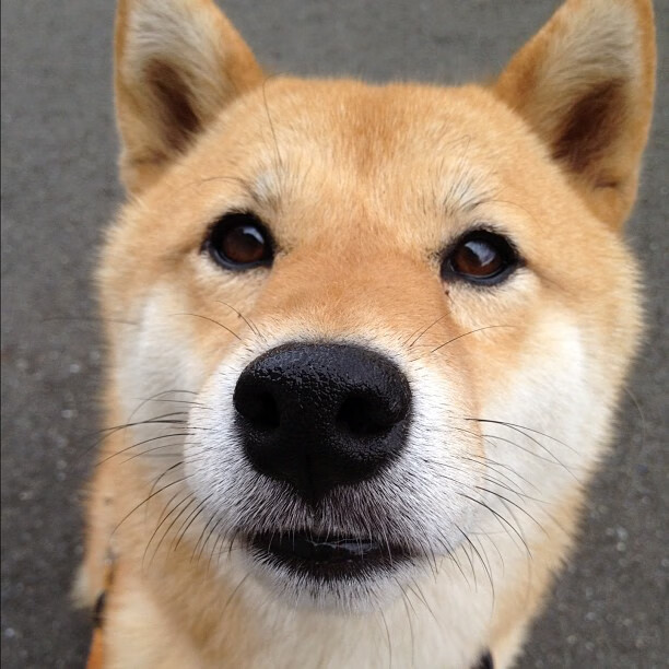 雷火电竞官网-当德国心脏为西班牙跳动，基米希临危救主，黄潜艇补时绝杀苏格兰风暴