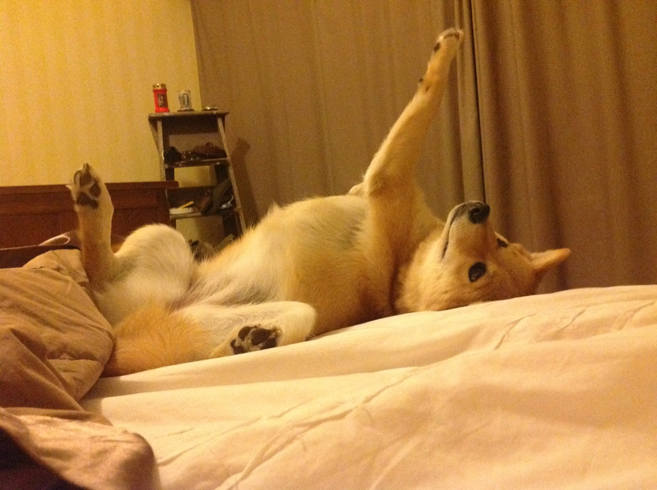 破局者，当芬兰单节击碎英格兰式逆转，布雷默改写北欧足球命运