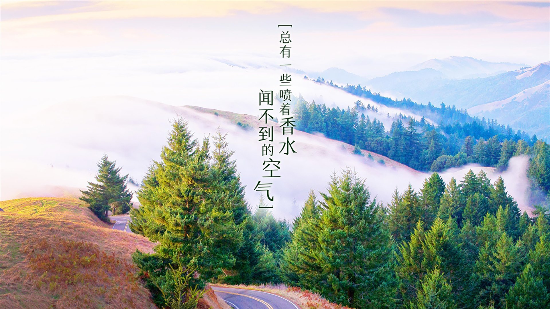 沙漠风暴下的压哨绝唱,托纳利惊世一击,阿联酋2-1险胜丹麦,2026世界杯B组奏响最强音